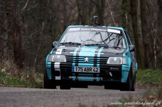 Peugeot 205 Rallye N1